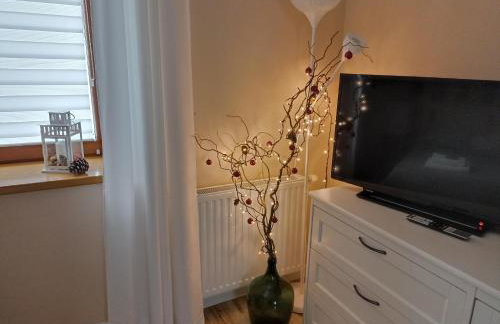 Przytulne Studio Borówkowy Zagajnik - Foto 15