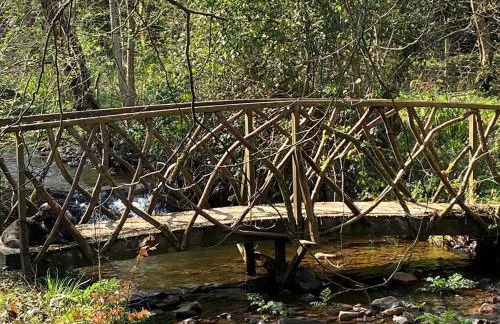 Shewte Farm - Foto 37