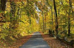 Schöne Wohnung im Naturidyll - Foto 20