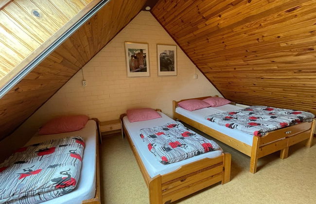 Family Farmhouse With Go-karts - Photo 8