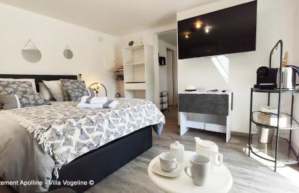 1 studio et 2 appartements 3 étoiles au calme à 150 m des thermes - Bains-Les-Bains - Foto 27