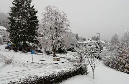 Schöne Aussicht Wieda - Foto 13