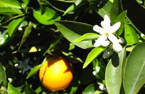 Apartamento Nueva Vida by Family Homes - Foto 50