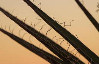 Joshua Tree House of Mercury - Foto 72