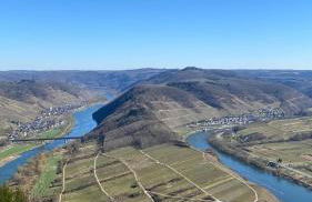 Ferienhaus Kapellenhof mit Infrarotsauna und vier Schlafzimmern - Foto 71