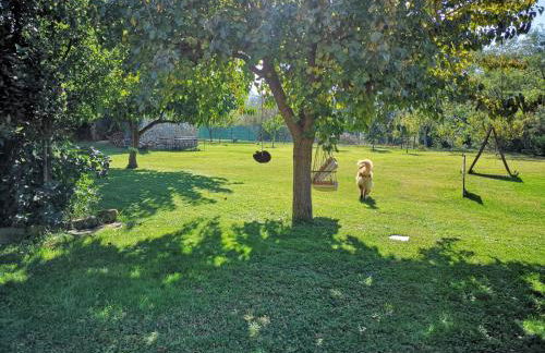 River Melody - Foto 61