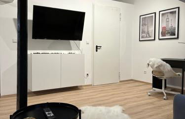 Modernes Loft am Dreiländereck - Foto 4