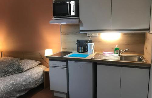 La Féclaz Ski aux pieds Grand Studio Tout confort - Foto 10