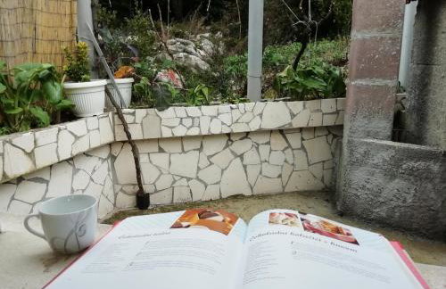 Apartments with parking space Luka, Peljesac - 16229 - Foto 12