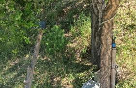 Quinta D' LuzArcoIris - Foto 41