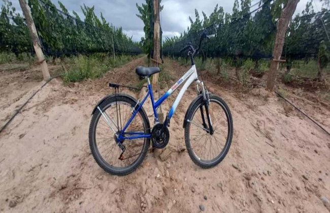 Alquiler de bicicleta en Maipú - Foto 12