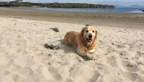 Amazing Sea Views, Short Walk to the Beach - Foto 3