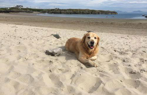 Amazing Sea Views, Short Walk to the Beach - Foto 3