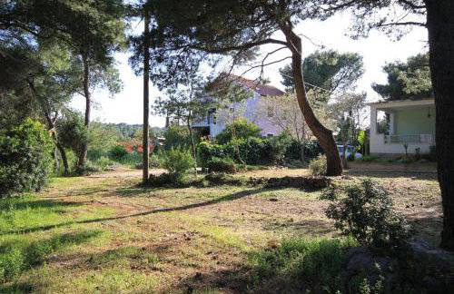 Apartments by the sea Mudri Dolac, Hvar - 118 - Foto 8