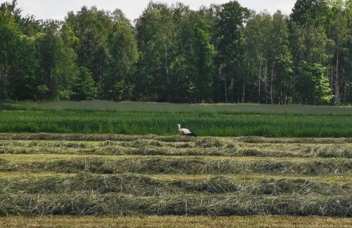 Agroturystyka Pasynki 44 - Foto 17