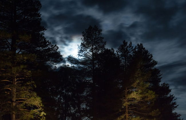 Nordic Lapland Resort - Foto 35