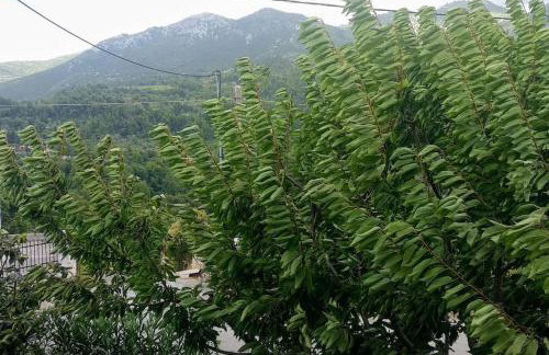 Green Garden appartment with mountain view, Vitala - Foto 12