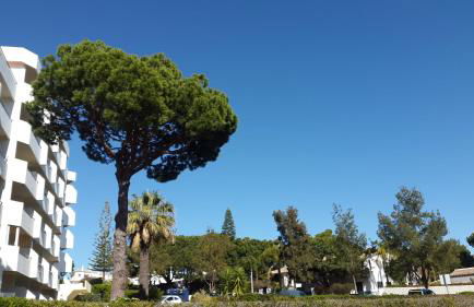 Tenis Golfmar 409A - pool view - Foto 36