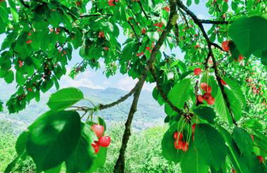 Agriturismo Borgo Biaia - Foto 83