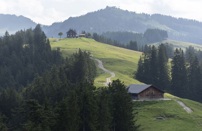 Peterhof Chalets - Foto 14