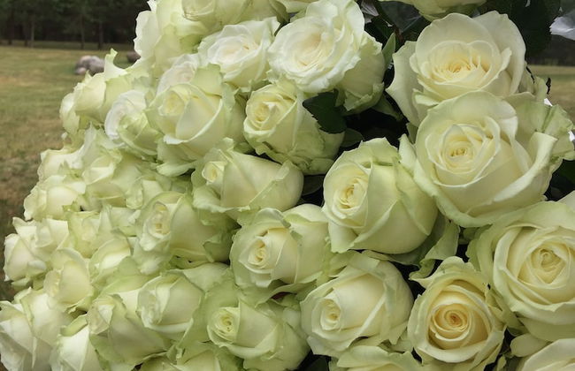 Kaimo Turizmo Sodyba Geras - Foto 33