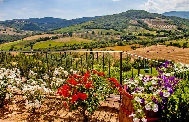 3 bedroom Apartment in Allerona with swimming pool and garden - Photo 6