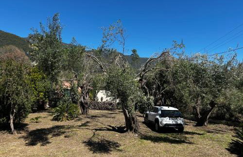 Villa Valia Seaside - Foto 10