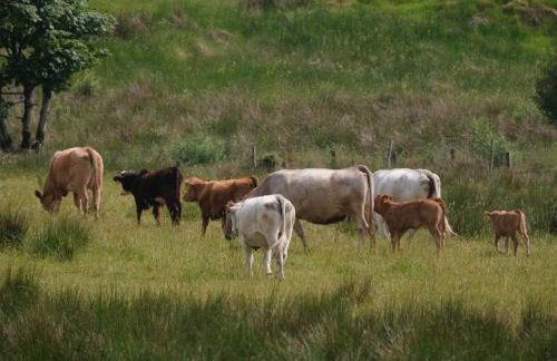 Peter's Farmhouse - Foto 3