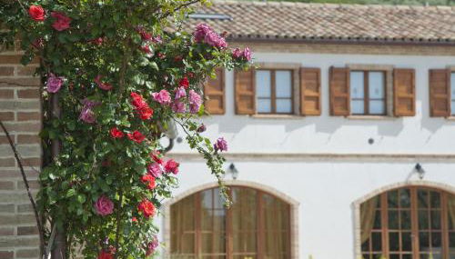 Terra del Sole - Foto 2