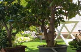 ANTICA BAITA - Foto 43