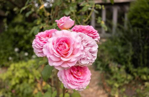 Mafeking by inspirestays-com - Foto 61