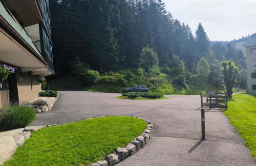 la bulle des sapins - Foto 16