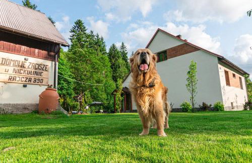 Domowe Zacisze w Nickulinie - Foto 1