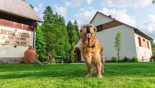 Domowe Zacisze w Nickulinie - Foto 1, Garden