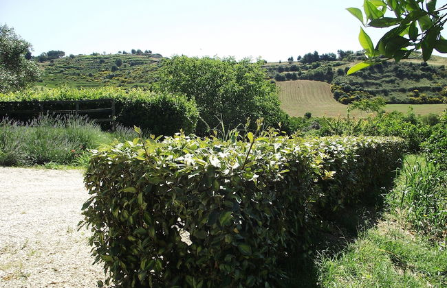 Casale delle Rose - Photo 56