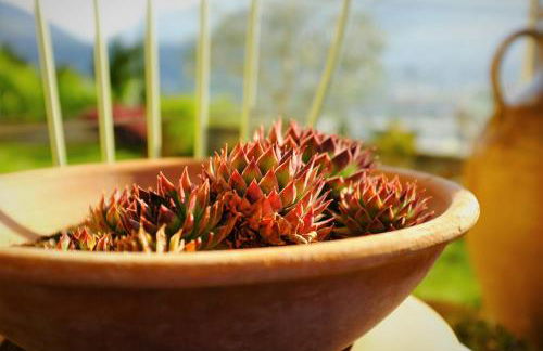 La Vista - Apartment mit Traumblick & Garten - Foto 42