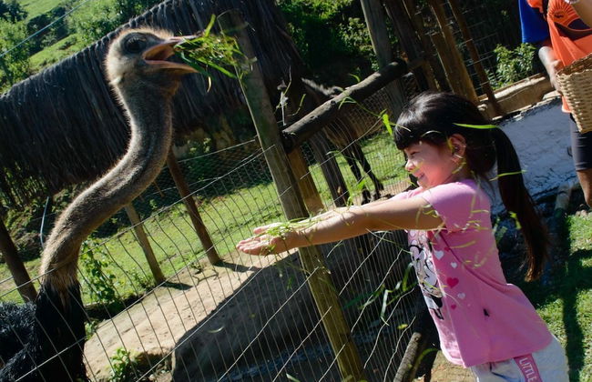 Chiminelli Hotel Fazenda e Eventos - Foto 35