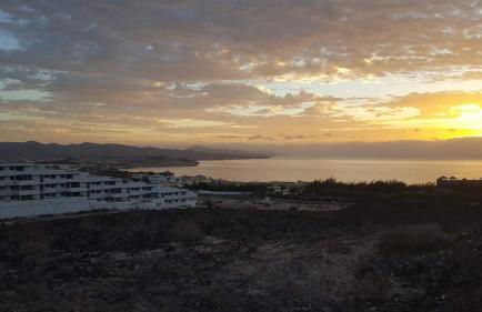 Ocean Dream 4A - Photo 11