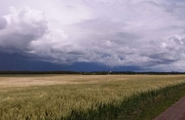 3 Person Holiday Home in Falkenberg-by Traum - Photo 20