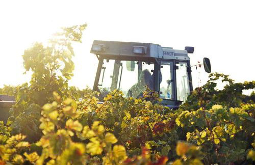 Disfruta de una escapada Rural en Ca la Lola - Foto 20