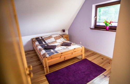 Domki Pod Lasem - Foto 23