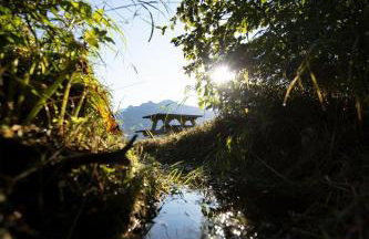 Suite 1 Lynn View Lodge - Foto 17