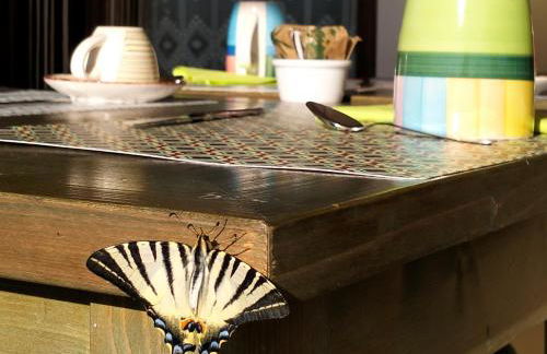 Le Storie di Bambu - Foto 1