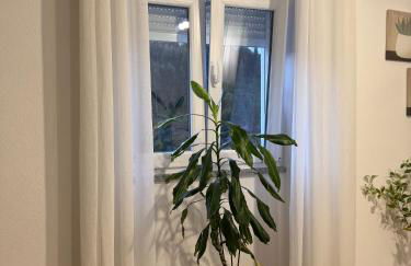 Casa da Ribeirinha - Foto 16