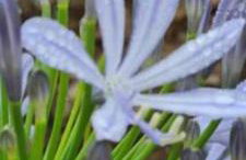 ADM chalé Chiaradia - Foto 18