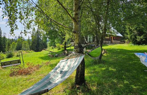 Chata góralska Wojtasówka - Foto 71