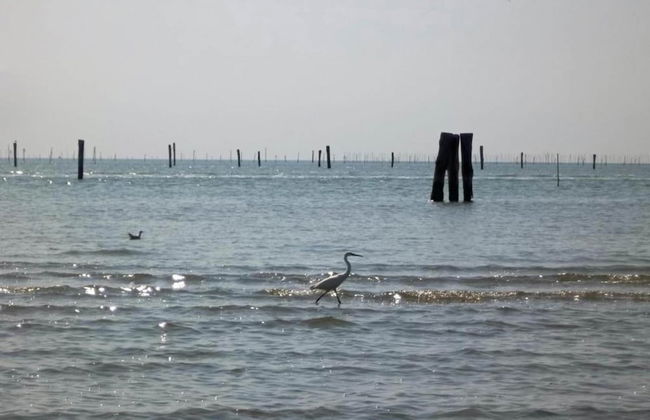 Pet-friendly Getaway With Pool - Foto 39