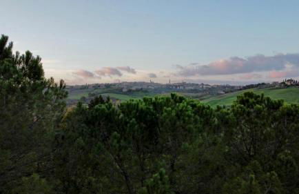 Agriturismo La Terrazza sul Mangia - Foto 3