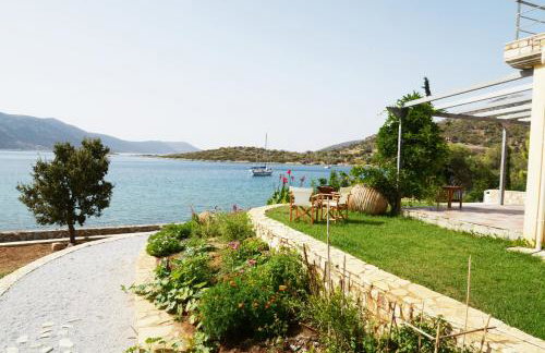 blueline guesthouse - Foto 28