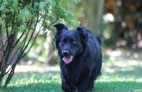 Dwór Barocco - Foto 31